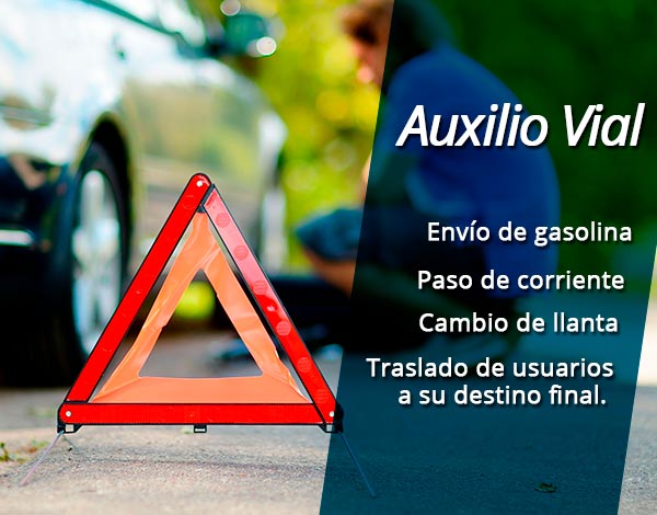 auxilio-vial